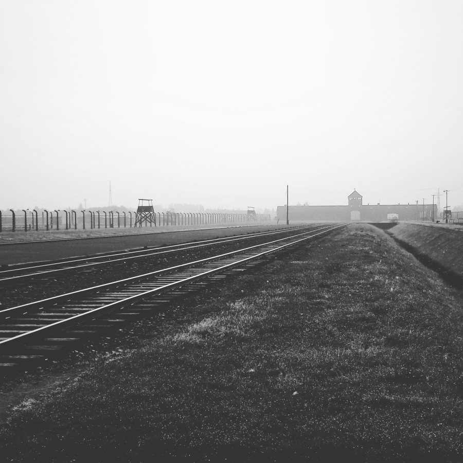 concentration-camp-auschwitz-birkenau-pope-francis-visit-wizyta-papieza-franciszka-w-obozie-koncentracyjnym-oświęcim